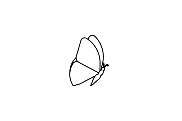 Butterfly Bright Decorative Outline: Graphics & Icons for Local Branding