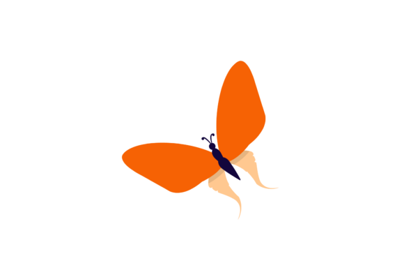 Butterfly Decorative Pattern: Graphics & Icons for Creative Brands