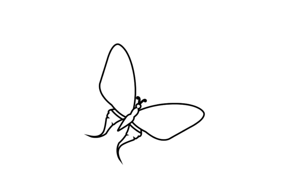 Butterfly Decorative Pattern Outline: Graphics and Icons for Editorial Use