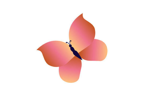 Butterfly Vectors Decorative Graphics